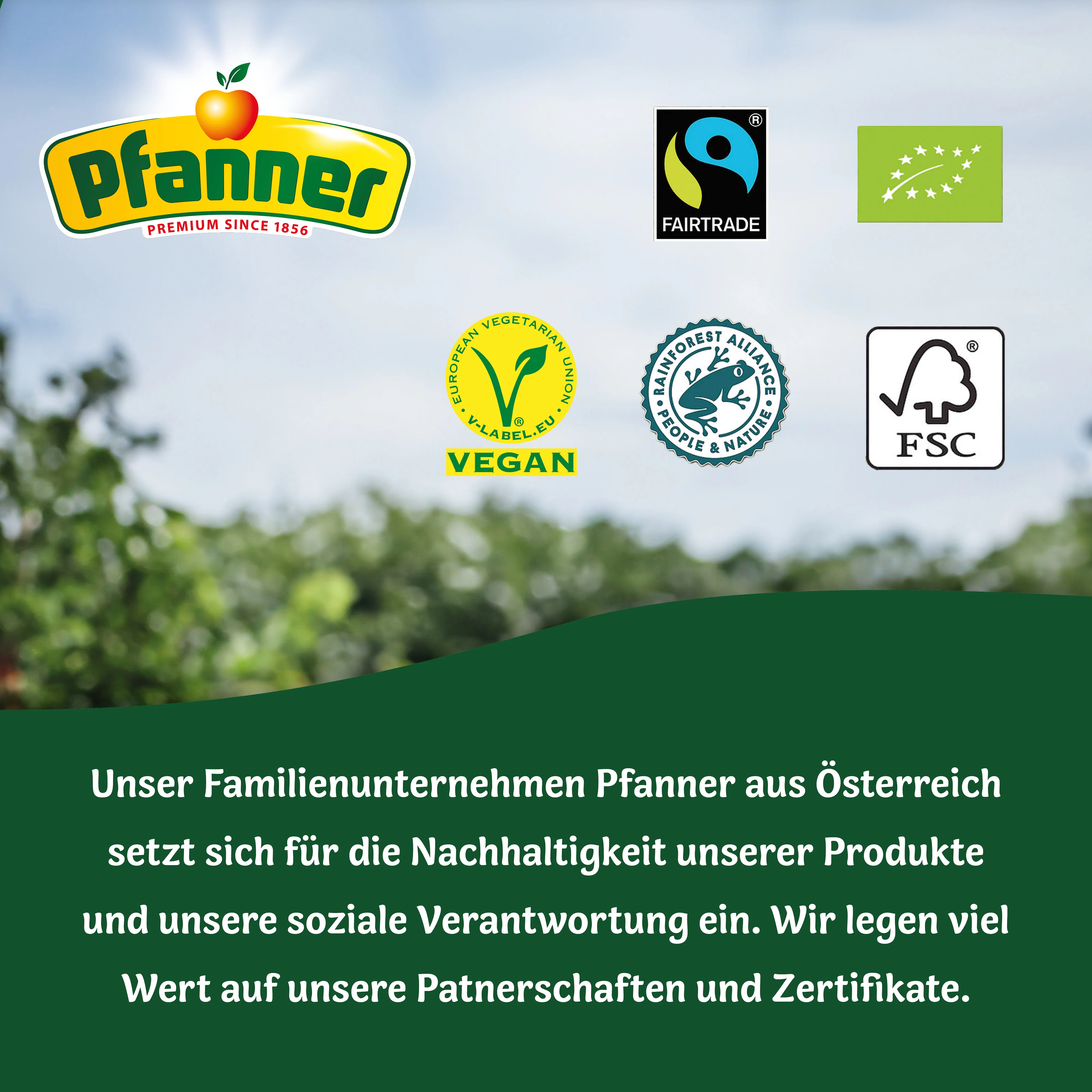 Pfanner Eistee Pfirsich - 8x0.75L - Image 6